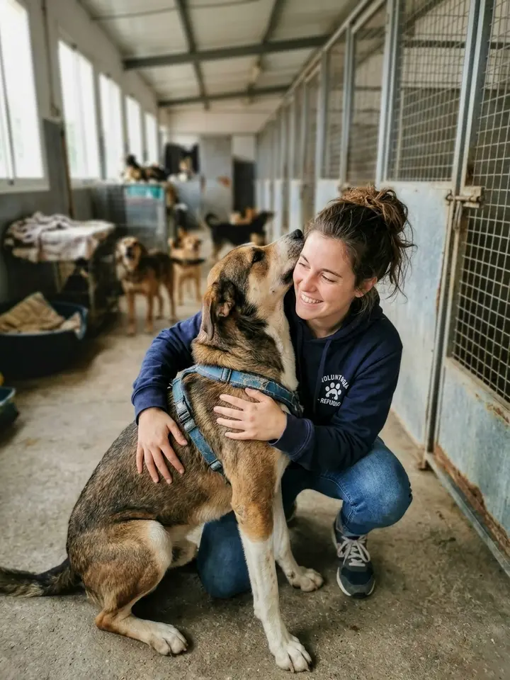 Une bénévole serre un chien dans le couloir d’un refuge pour animaux.