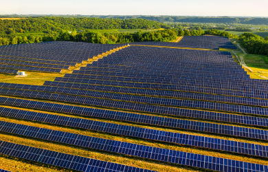 Petición de Acción Climática Local por la Neutralidad de Carbono